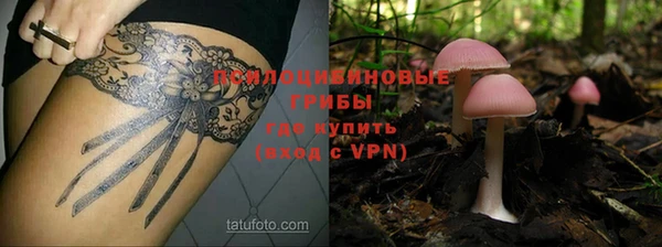 тгк Беломорск