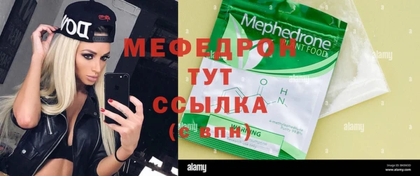 индика Белокуриха