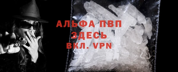 индика Белокуриха