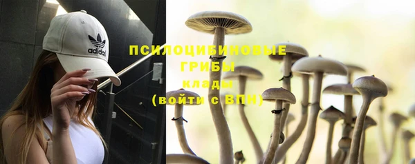 прущая мука Баксан