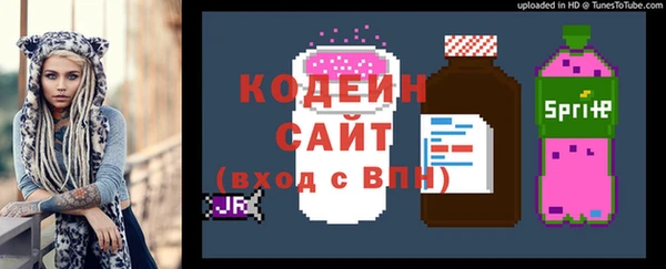 индика Белокуриха