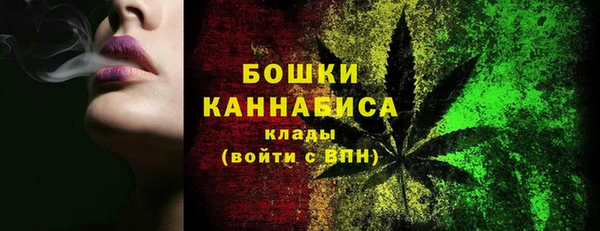индика Белокуриха