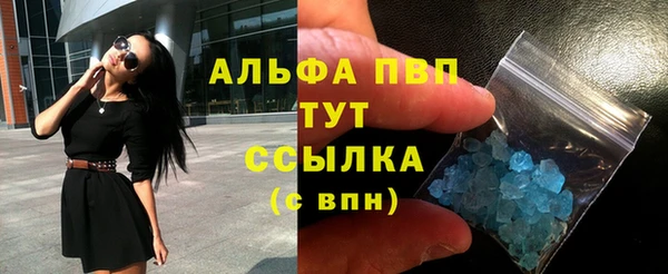 индика Белокуриха