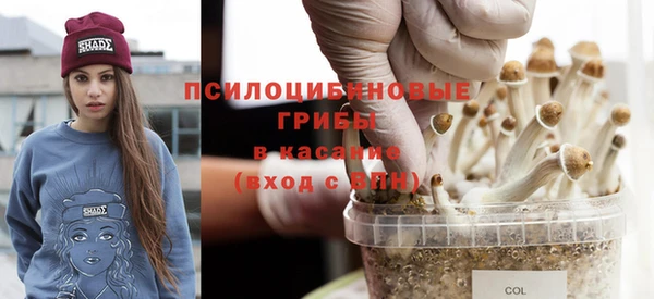 тгк Беломорск