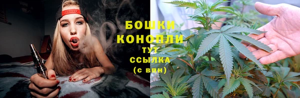индика Белокуриха