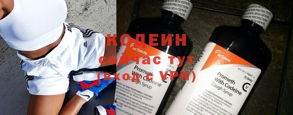 индика Белокуриха