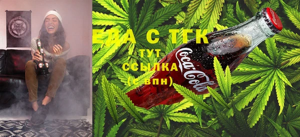 индика Белокуриха