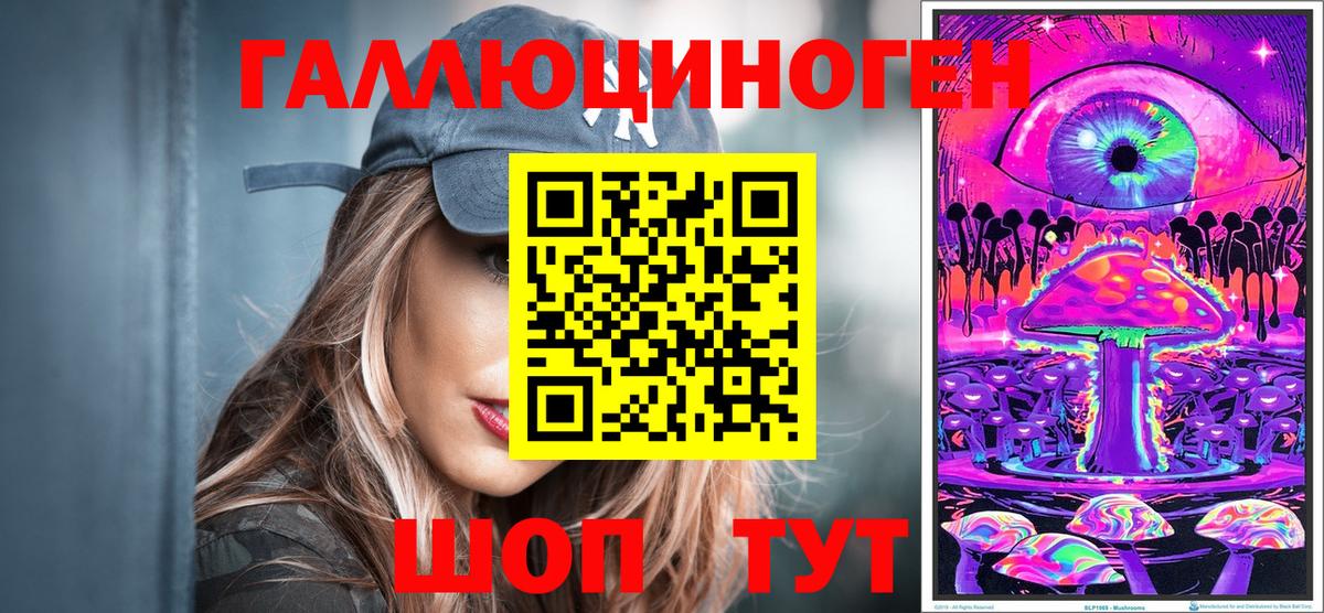 Псилоцибиновые грибы Cubensis  Гудермес  Псилоцибиновые грибы мицелий 