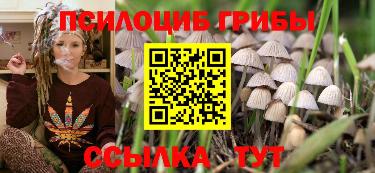 Псилоцибиновые грибы прущие грибы  Галлюциногенные грибы Magic Shrooms  Гудермес  Вход с VPN 