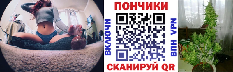 Бошки марихуана план  Гудермес 